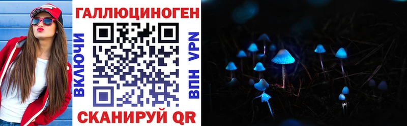Купить где  Дегтярск  Псилоцибиновые грибы Cubensis 